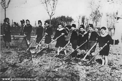 festa-degli-alberi