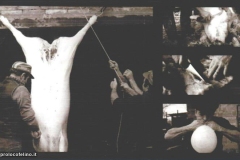 lavorazione-del-suino